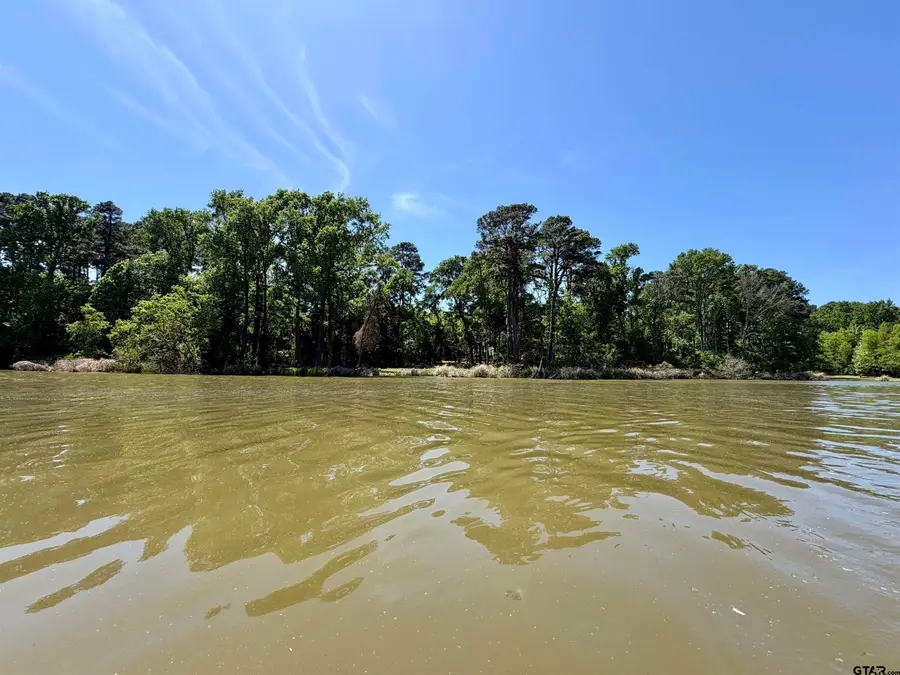 10162 Cr 3202, Chandler, TX 75758 - #2