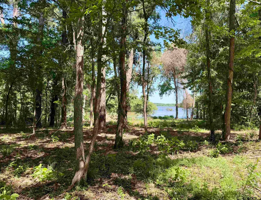 10162 Cr 3202, Chandler, TX 75758 - #3