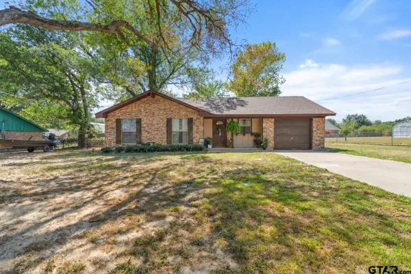 207 Alabama St, Van, TX 75790