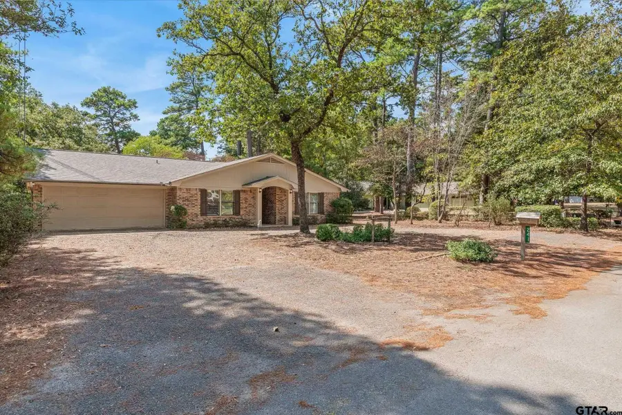 241 Woodside Lane, Holly Lake Ranch, TX 75765 - #3