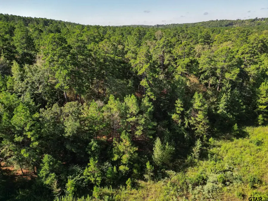 TBD Cr 1613, Jacksonville, TX 75766 - #2