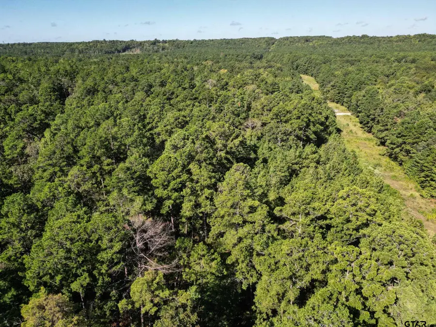 TBD Cr 1613, Jacksonville, TX 75766 - #3