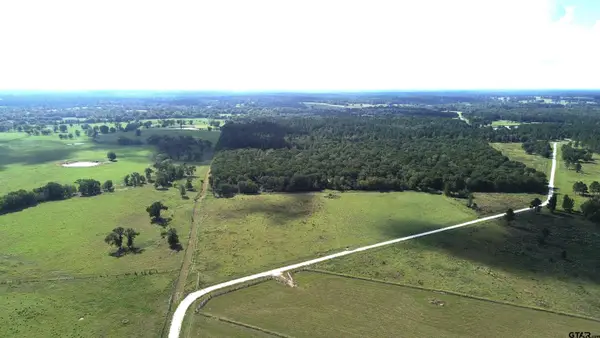 727 Buckhorn Creek Drive, Crockett, TX 75835