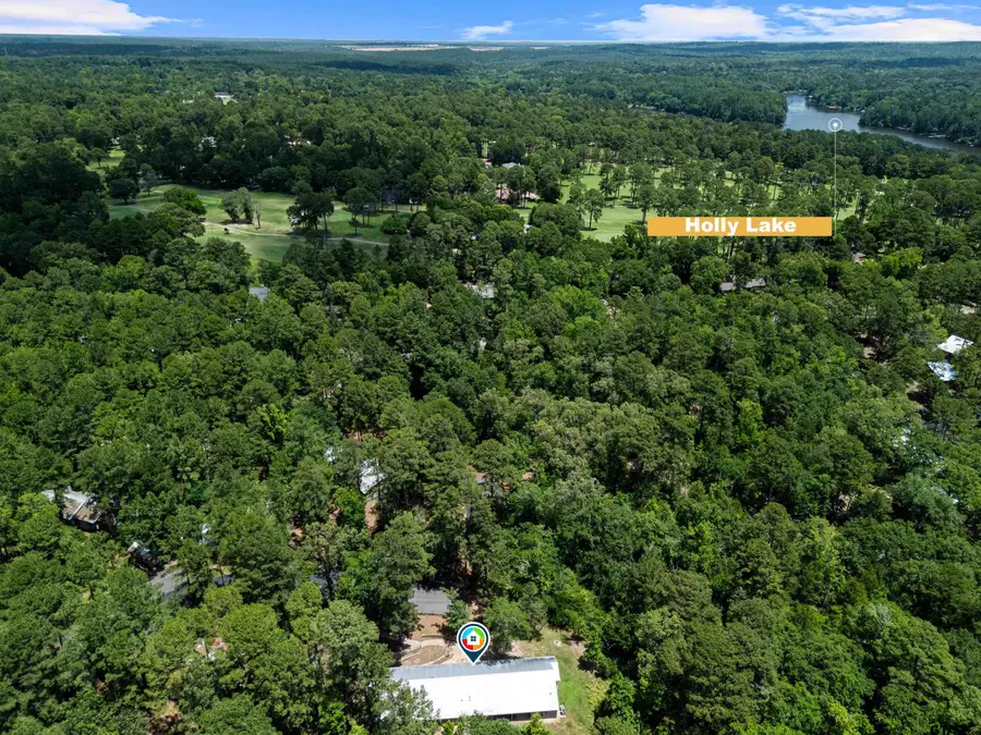 516 Holly Trail East Unit 94, Holly Lake Ranch, TX 75765 - #3