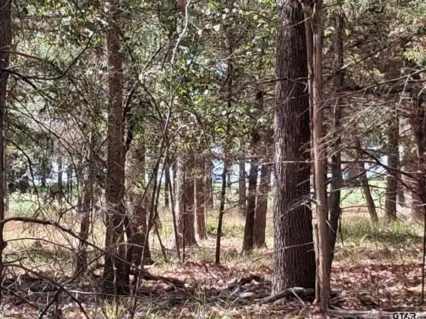 tbd Hideaway, Murchison, TX 75778