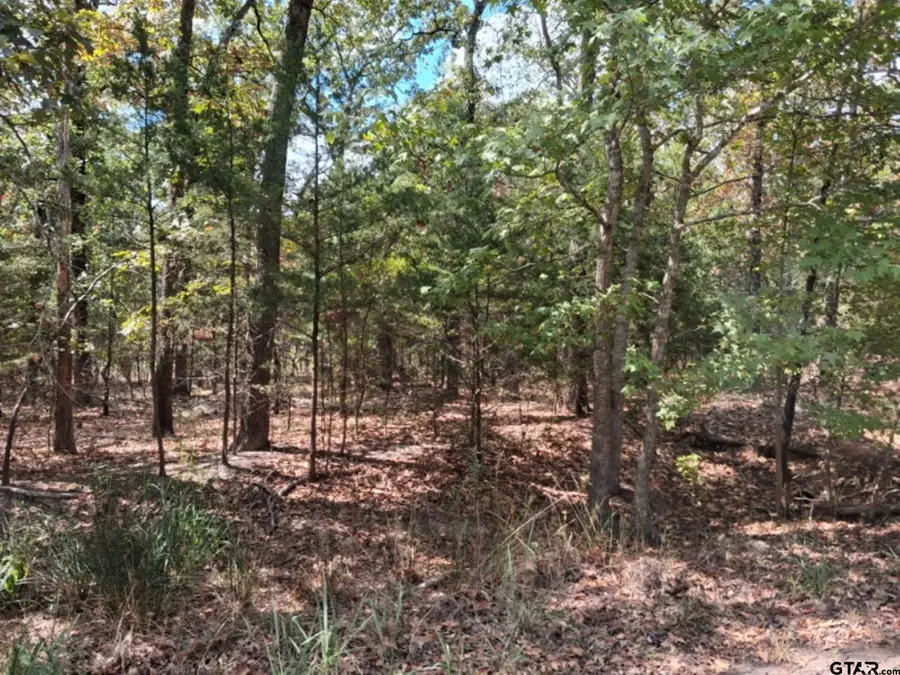 tbd Hideaway, Murchison, TX 75778 - #2