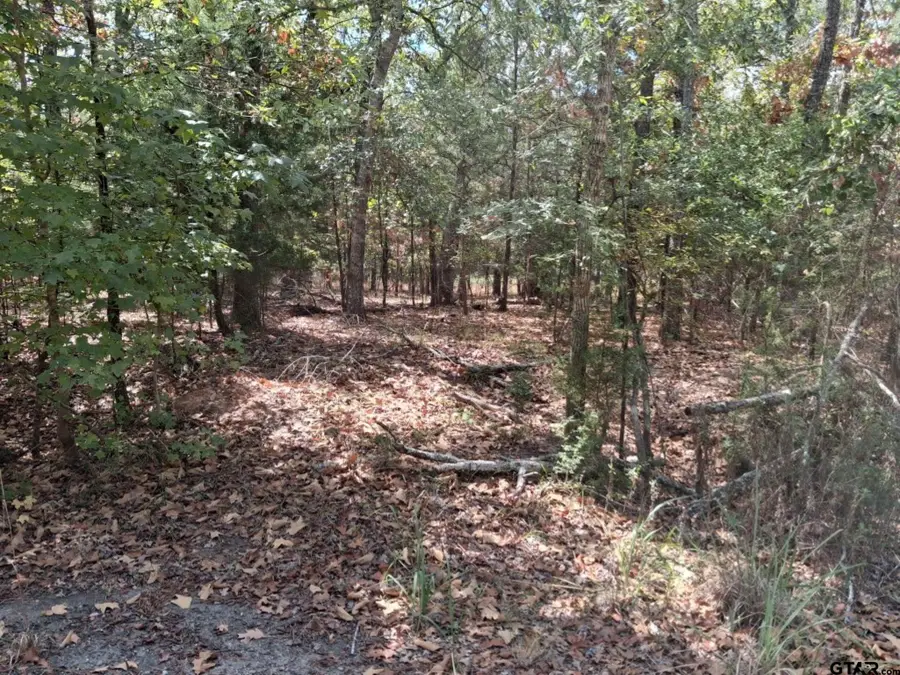 tbd Hideaway, Murchison, TX 75778 - #3
