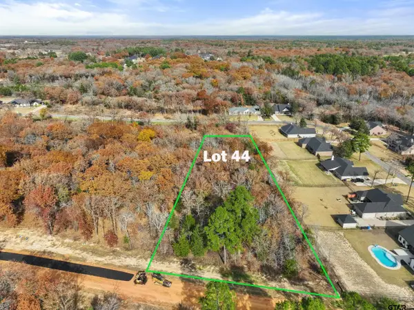 TBD Tbd Pr 6305 Lot 44, Mineola, TX 75773