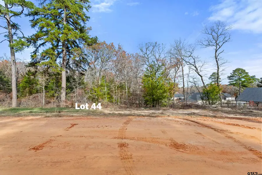 TBD Tbd Pr 6305 Lot 44, Mineola, TX 75773 - #2