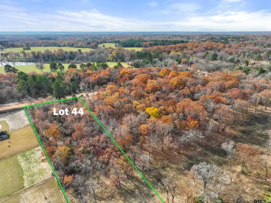 TBD Tbd Pr 6305 Lot 44, Mineola, TX 75773 - #3