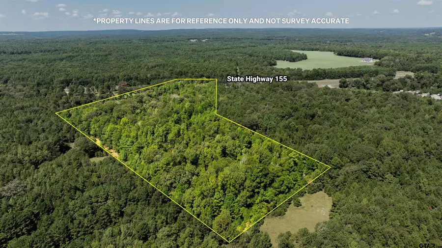 TBD State Highway 155, Palestine, TX 75803 - #3
