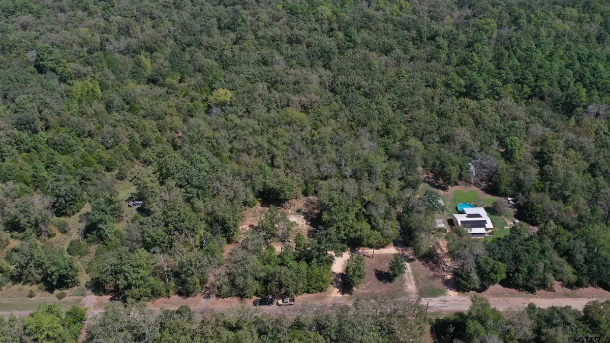 347 County Road 4252, Palestine, TX 75803 - #1