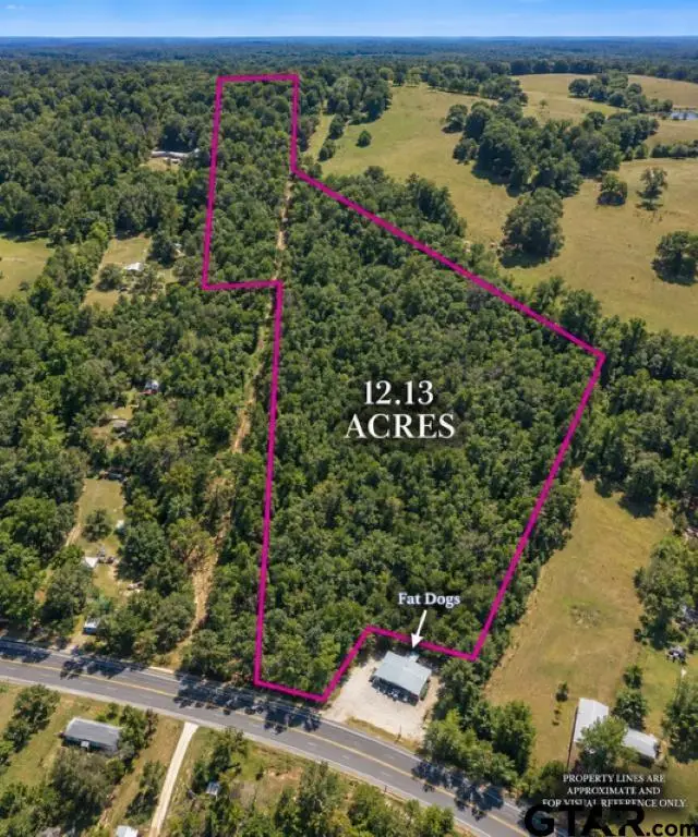 1410 W Duval, Troup, TX 75789 - #1