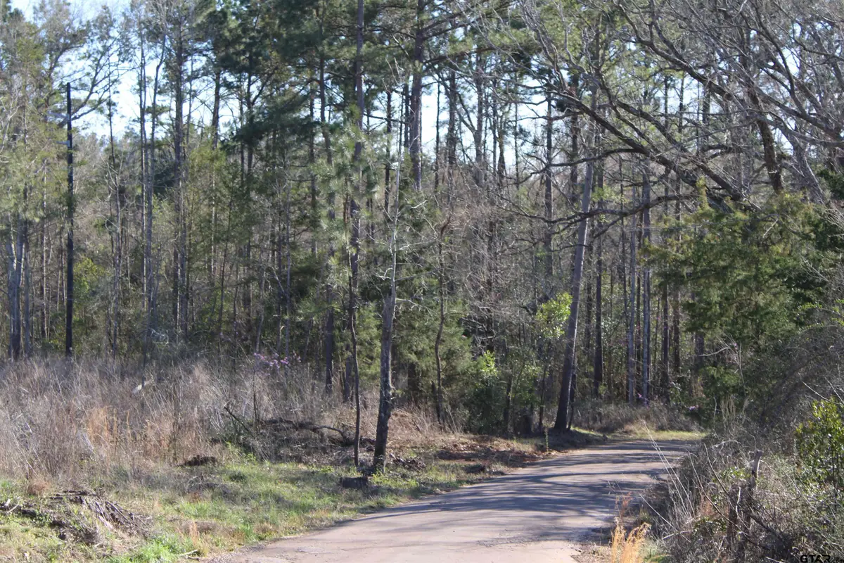 TBD Cr 1627- 21 Acres, Rusk, TX 75785 - #1