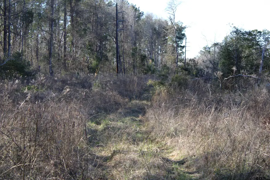 TBD Cr 1627- 21 Acres, Rusk, TX 75785 - #2