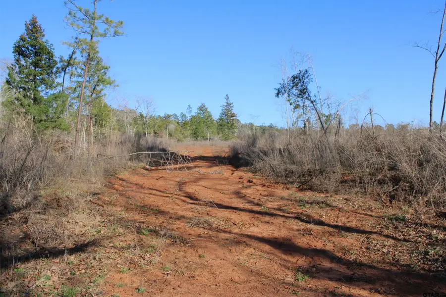 TBD Cr 1627- 21 Acres, Rusk, TX 75785 - #3