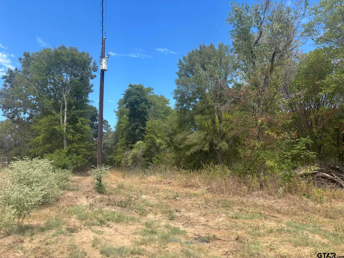 TBD Cr 2222, Pittsburg, TX 75686 - #1