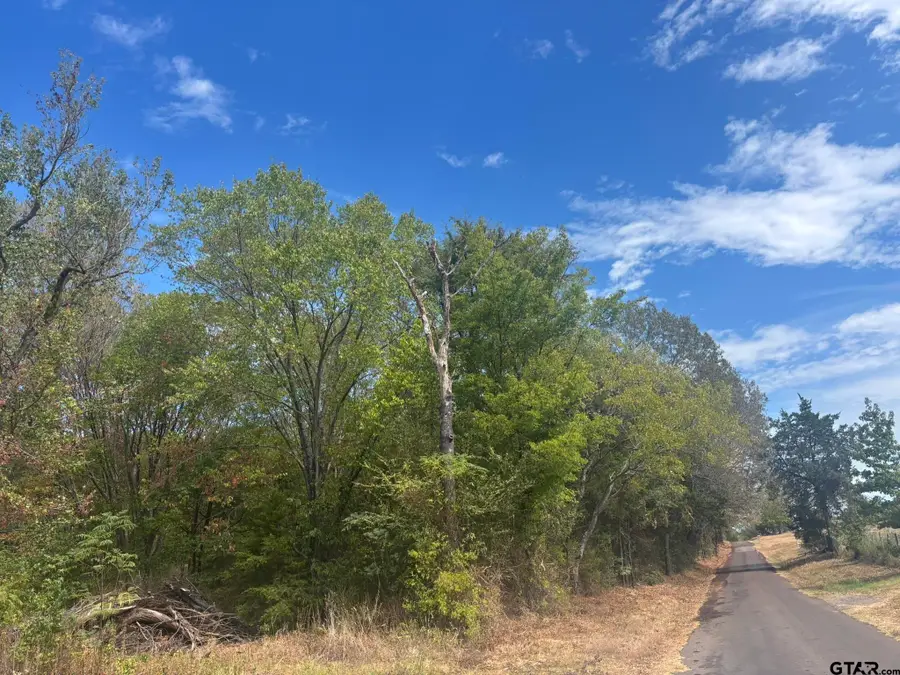 TBD Cr 2222, Pittsburg, TX 75686 - #2