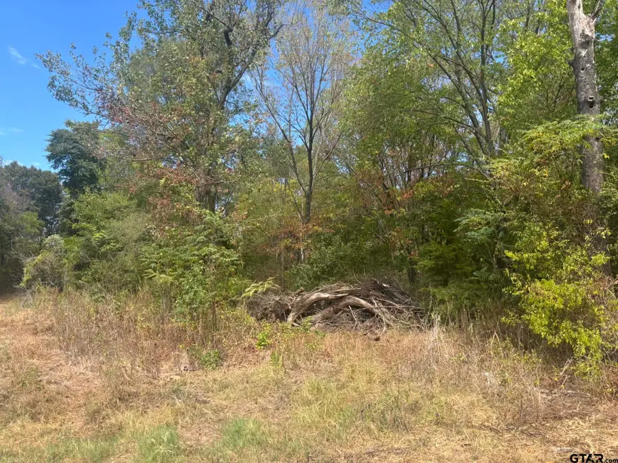 TBD Cr 2222, Pittsburg, TX 75686 - #3