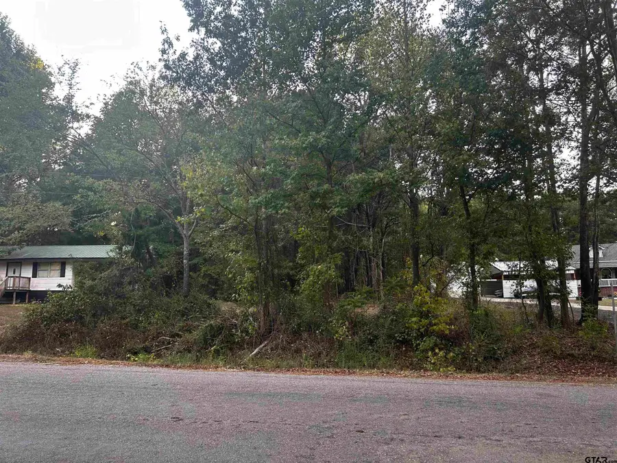 TBD Airlite Rd., Marshall, TX 75670 - #2