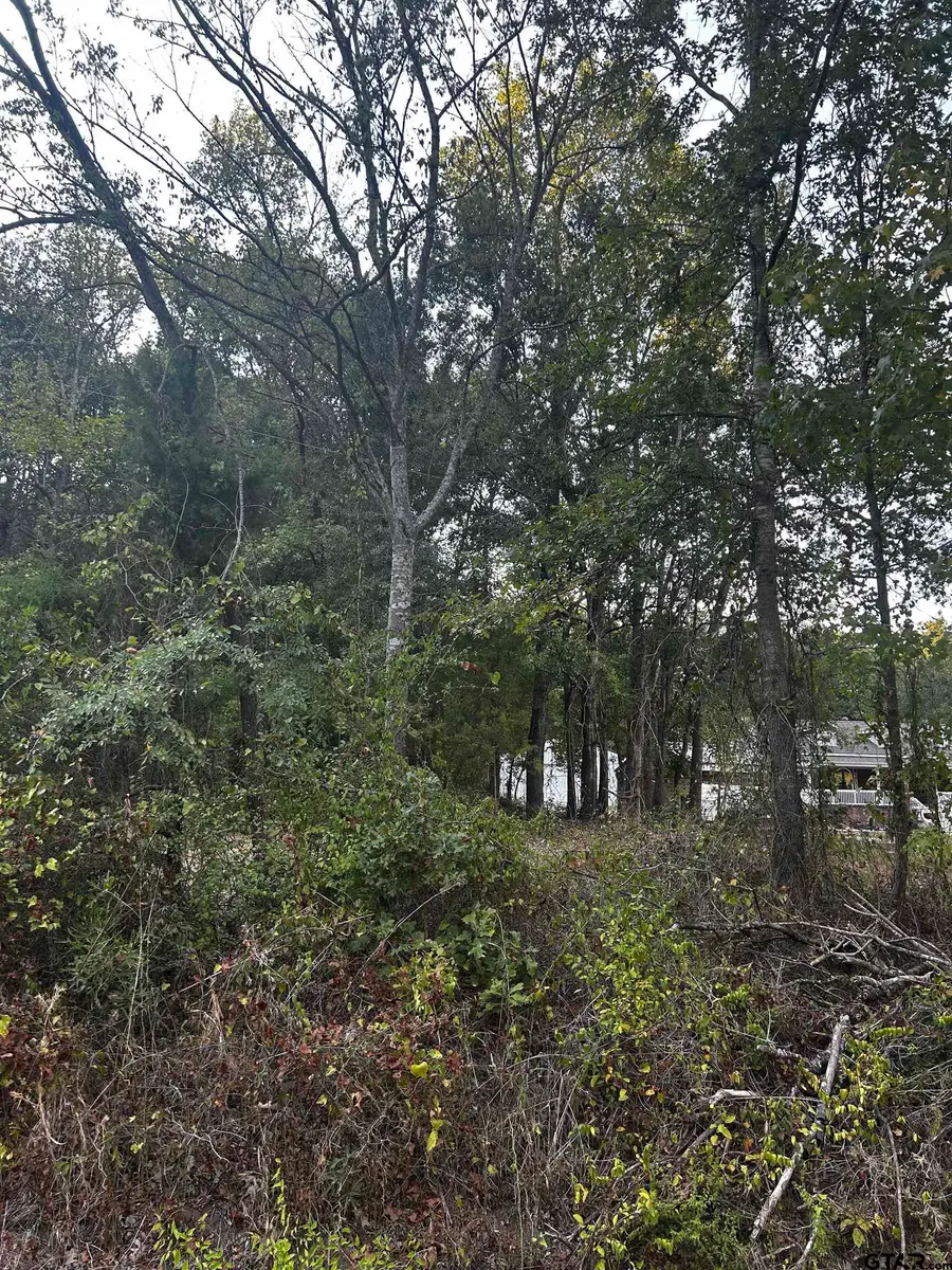 TBD Airlite Rd., Marshall, TX 75670 - #3