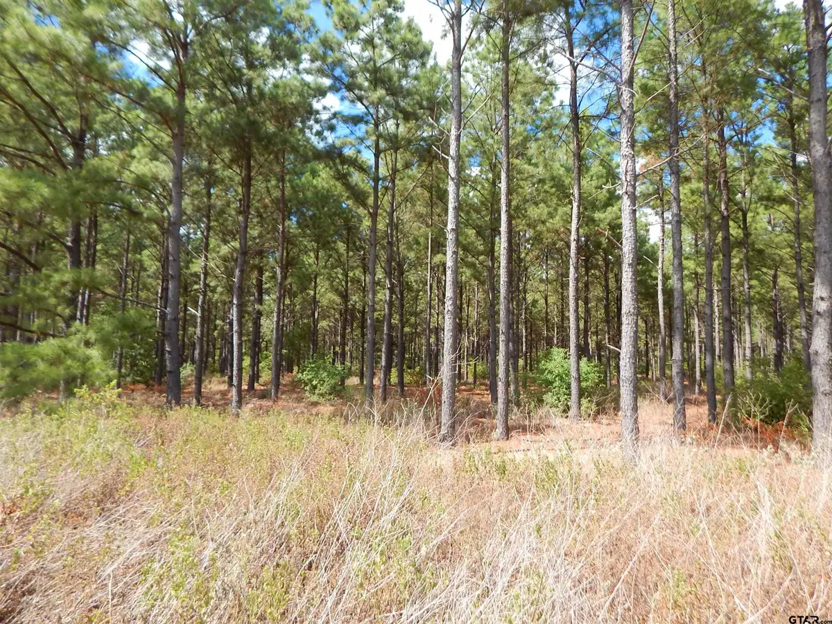 TBD 10 Acres West Spruce Rd, Big Sandy, TX 75755 - #1