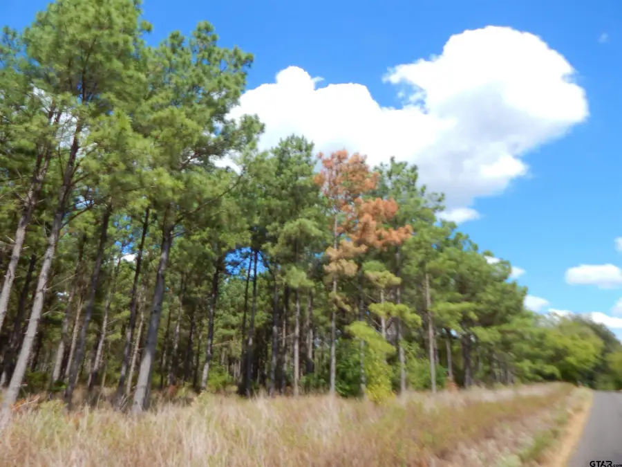 TBD 10 Acres West Spruce Rd, Big Sandy, TX 75755 - #3