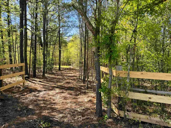 Bellwood Lake Road, Tyler, TX 75709