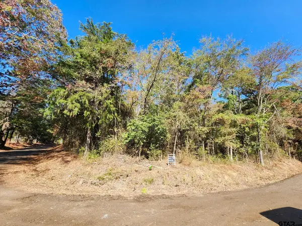 TBD Cr 2222, Pittsburg, TX 75686