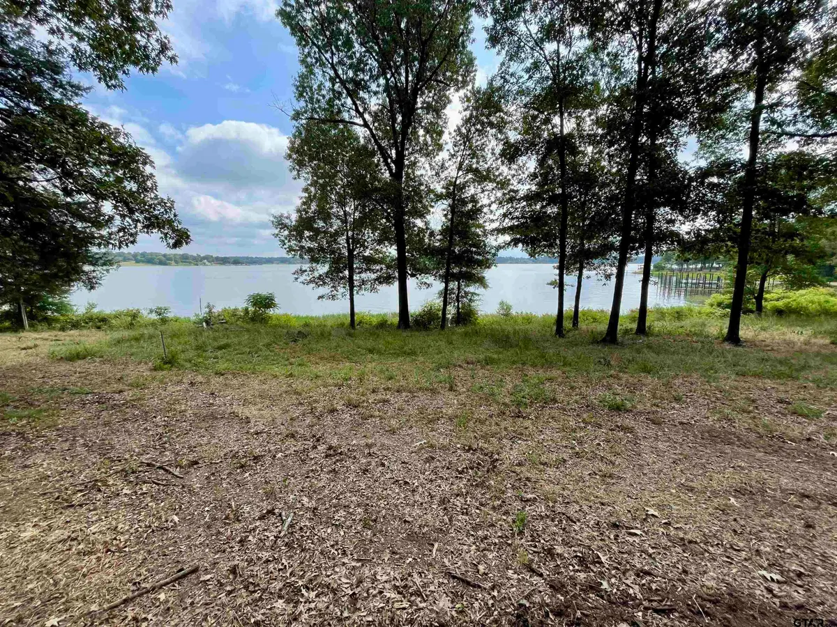 101 Sterling Shores Drive, Scroggins, TX 75480 - #1