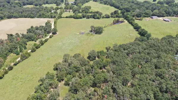 9976 State Highway 64, Ben Wheeler, TX 75754