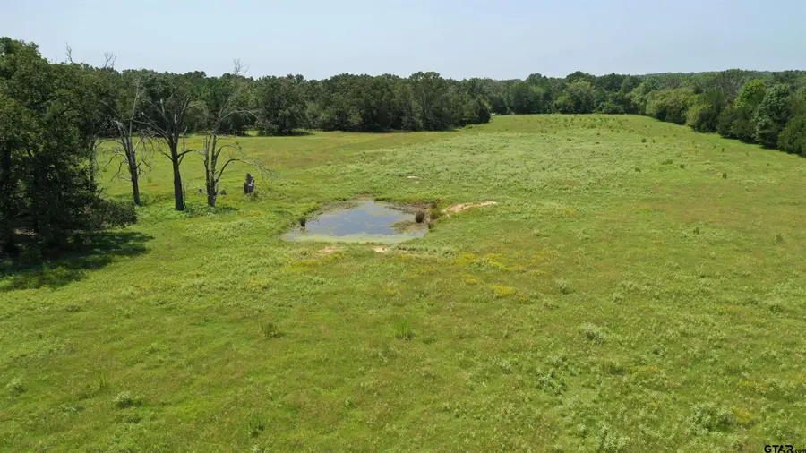 9976 State Highway 64, Ben Wheeler, TX 75754 - #2