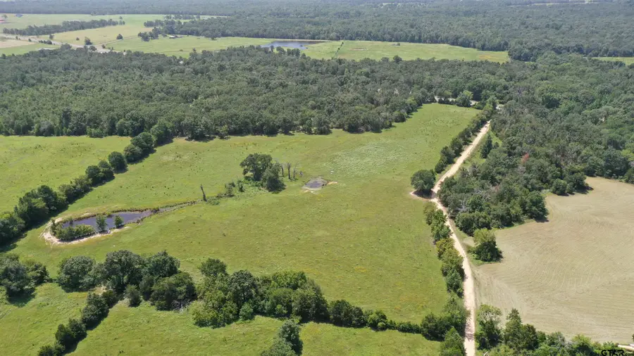 9976 State Highway 64, Ben Wheeler, TX 75754 - #3