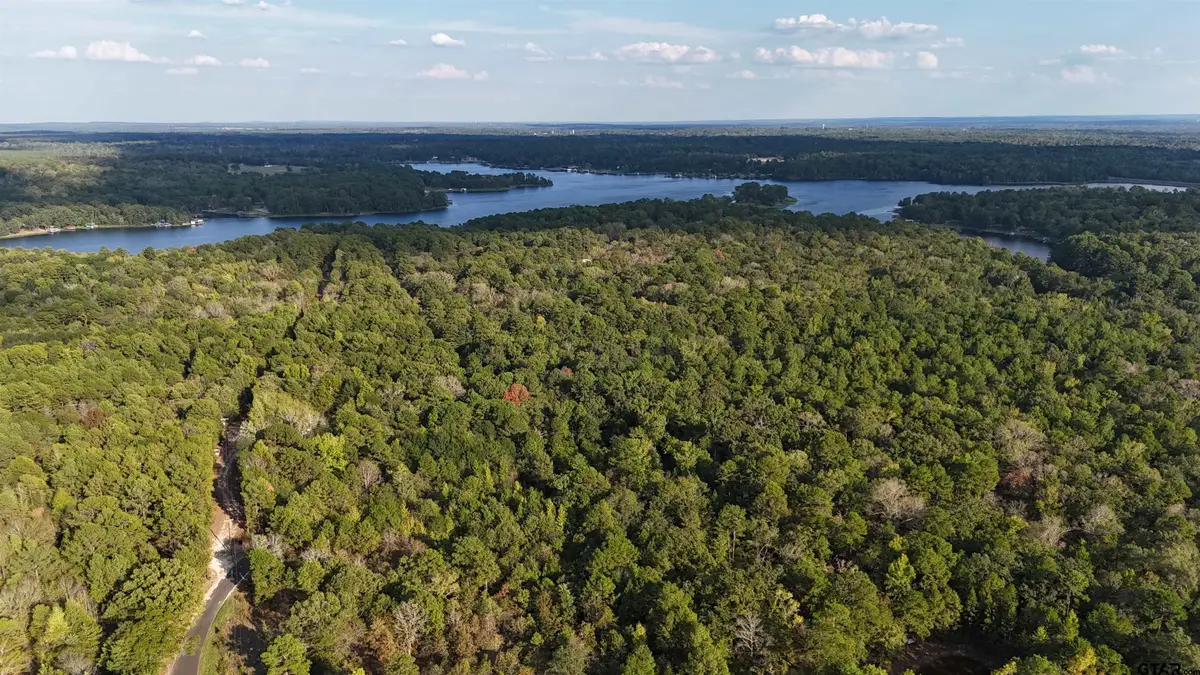 TBD County Road 3470, Hawkins, TX 75765 - #1