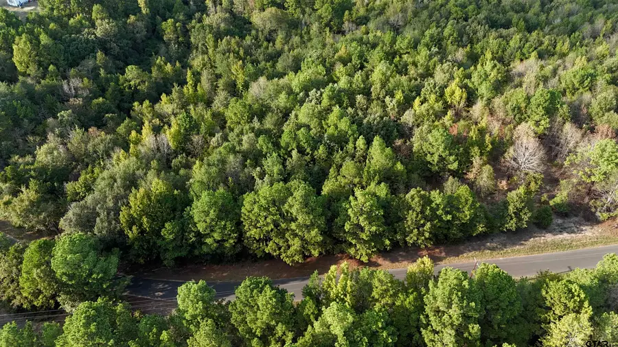 TBD County Road 3470, Hawkins, TX 75765 - #2