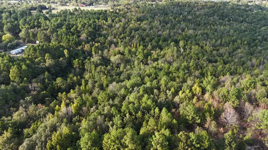 TBD County Road 3470, Hawkins, TX 75765 - #3