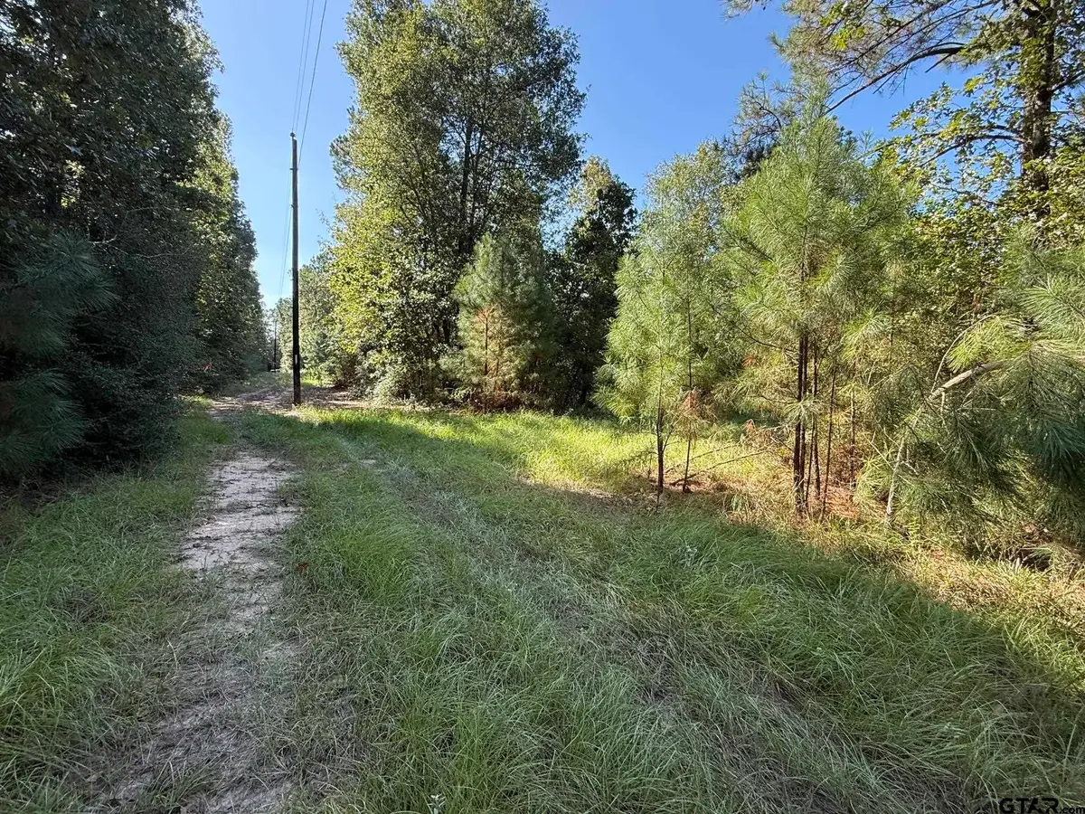TBD Cr 3385, Lovelady, TX 75851 - #1