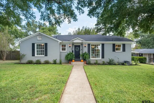 311 Shawnee Trl, Henderson, TX 75654