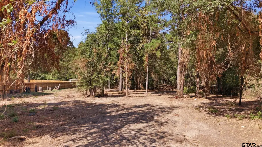 TBD Cr 474, Lindale, TX 75771 - #2