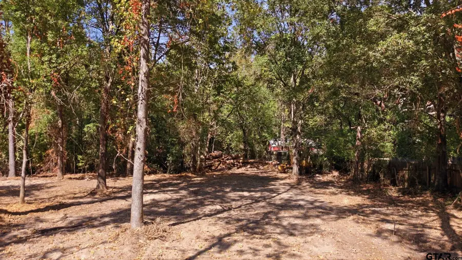 TBD Cr 474, Lindale, TX 75771 - #3