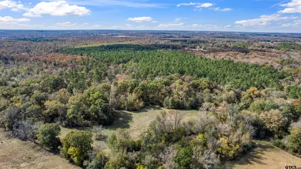 TBD Cr 3170, Winnsboro, TX 75494