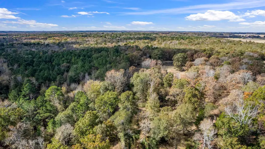 TBD Cr 3170, Winnsboro, TX 75494 - #2