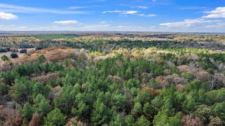 TBD Cr 3170, Winnsboro, TX 75494 - #3