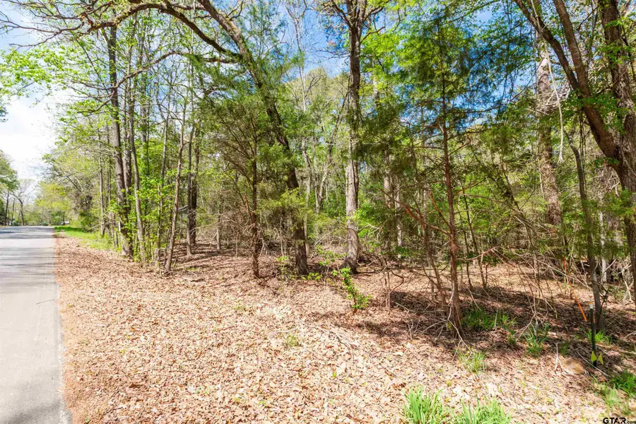 14200 Cr 2337, Tyler, TX 75707 - #2