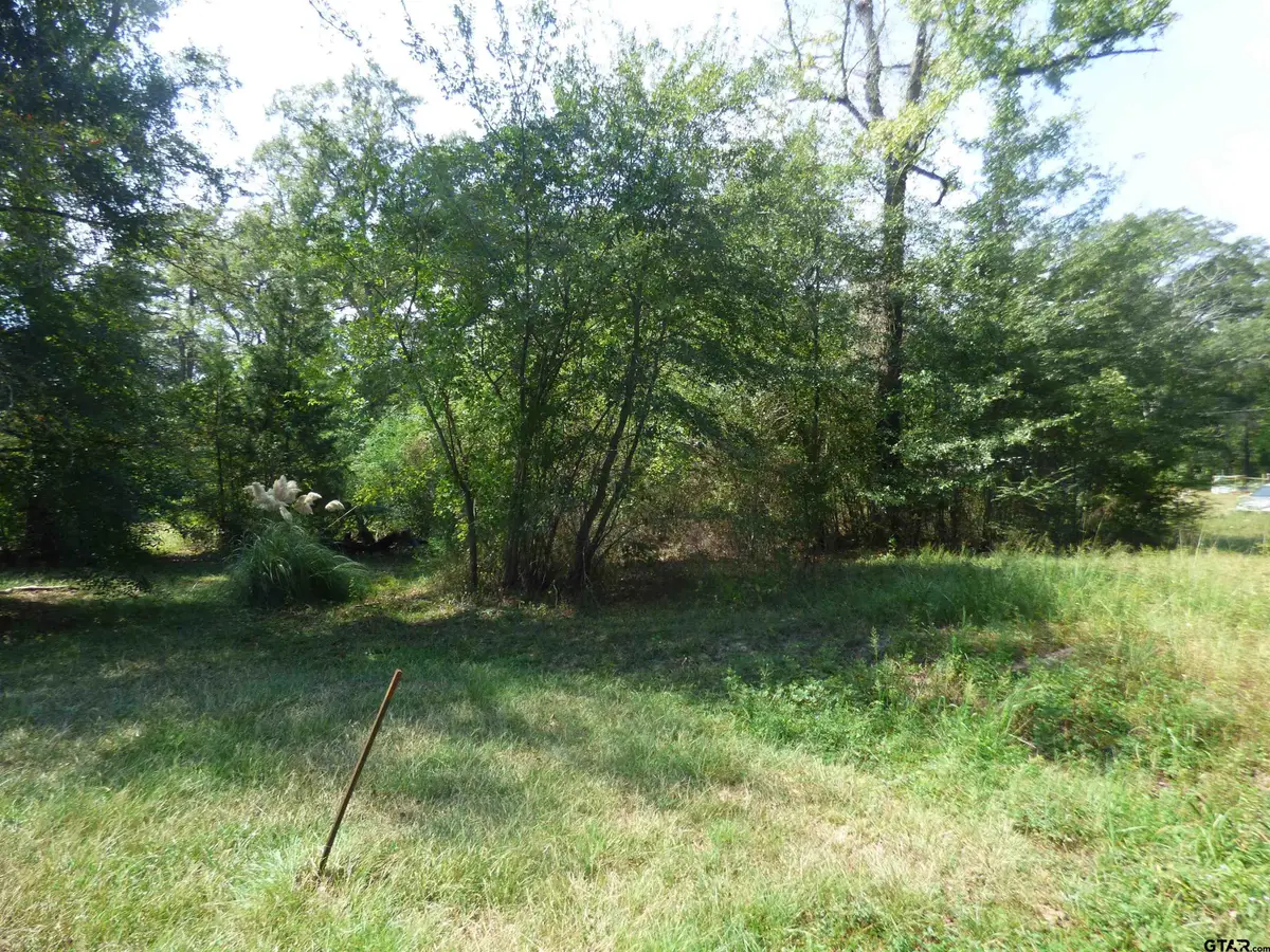 661 County Road 1147, Daingerfield, TX 75638 - #1