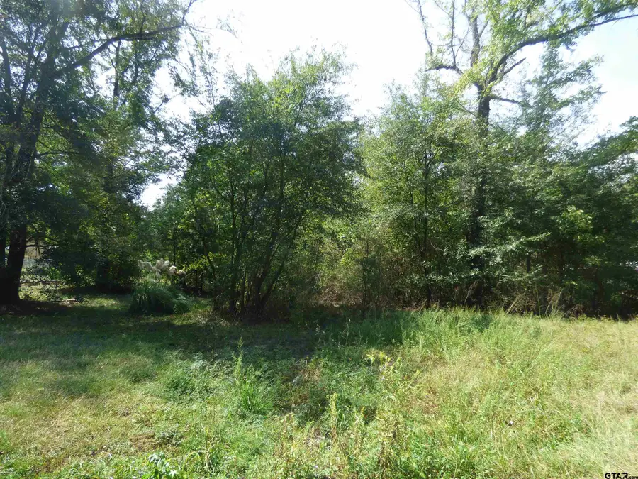 661 County Road 1147, Daingerfield, TX 75638 - #2