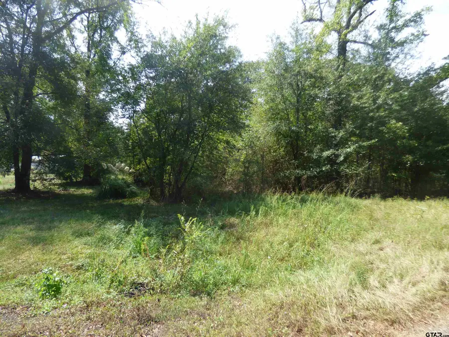 661 County Road 1147, Daingerfield, TX 75638 - #3