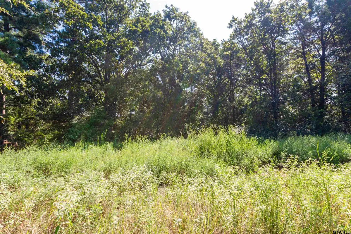 13234 Mountain View Rd S, Winona, TX 75792 - #1
