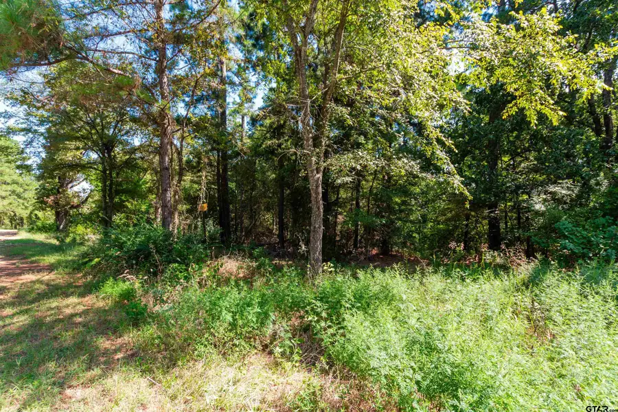 13234 Mountain View Rd S, Winona, TX 75792 - #2
