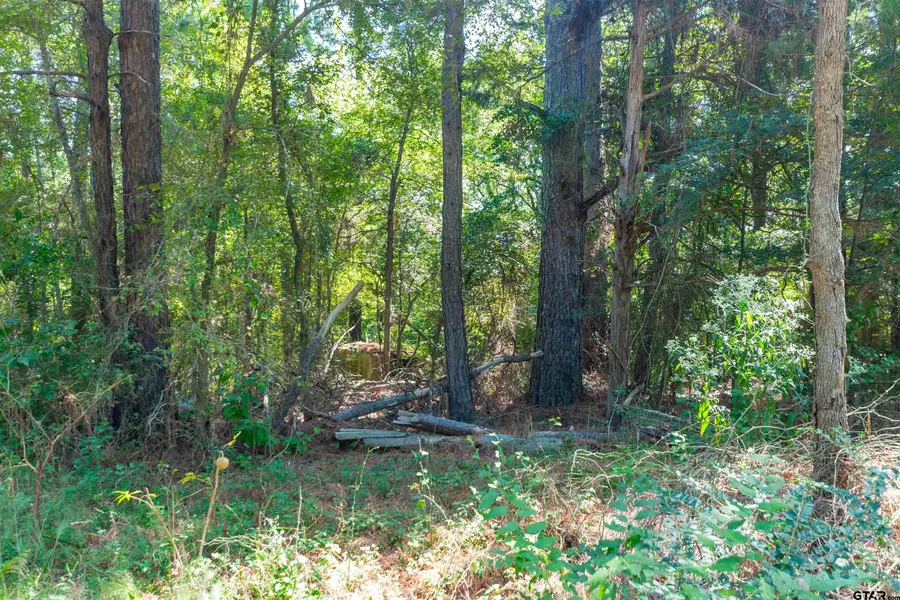 13234 Mountain View Rd S, Winona, TX 75792 - #3